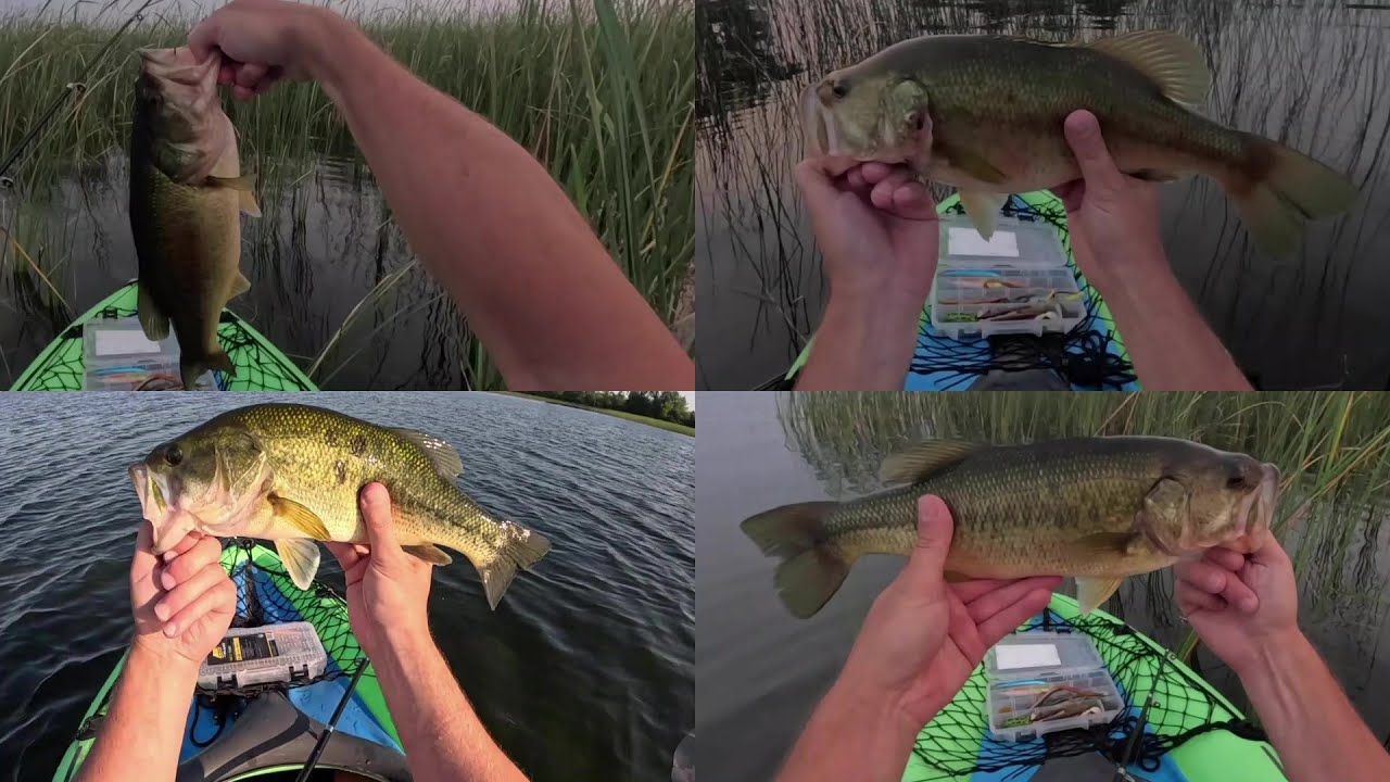 S6 Ep6 Smashing Chunky Largemouth Bass In My Intex Inflatable Kayak