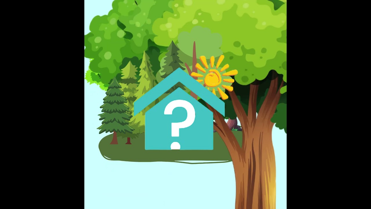 Eco friendly travel. Be green when travelling. Can I offset my travel? Green travel. Eco travel.