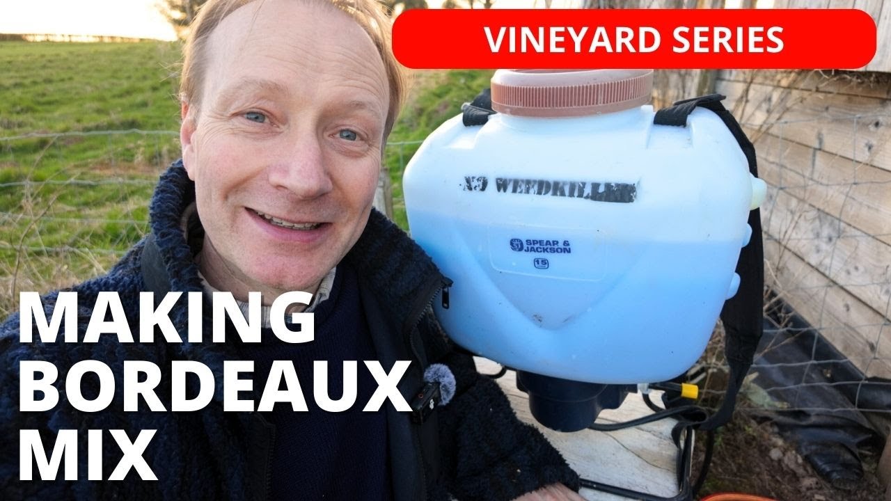 Bordeaux Mix -  How I make it and is it any good?