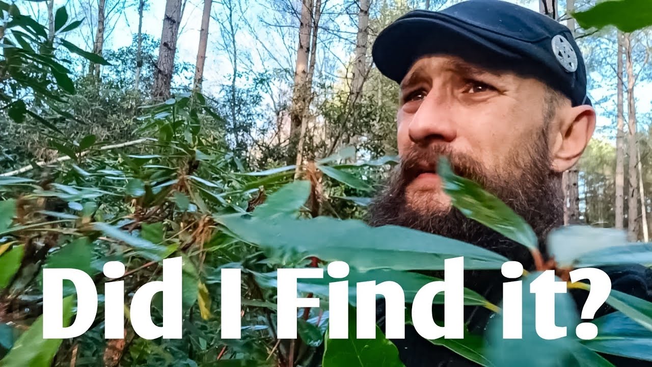 Finding Our SECRET Hideaway For WINTER! - UK 🇬🇧 Nomads