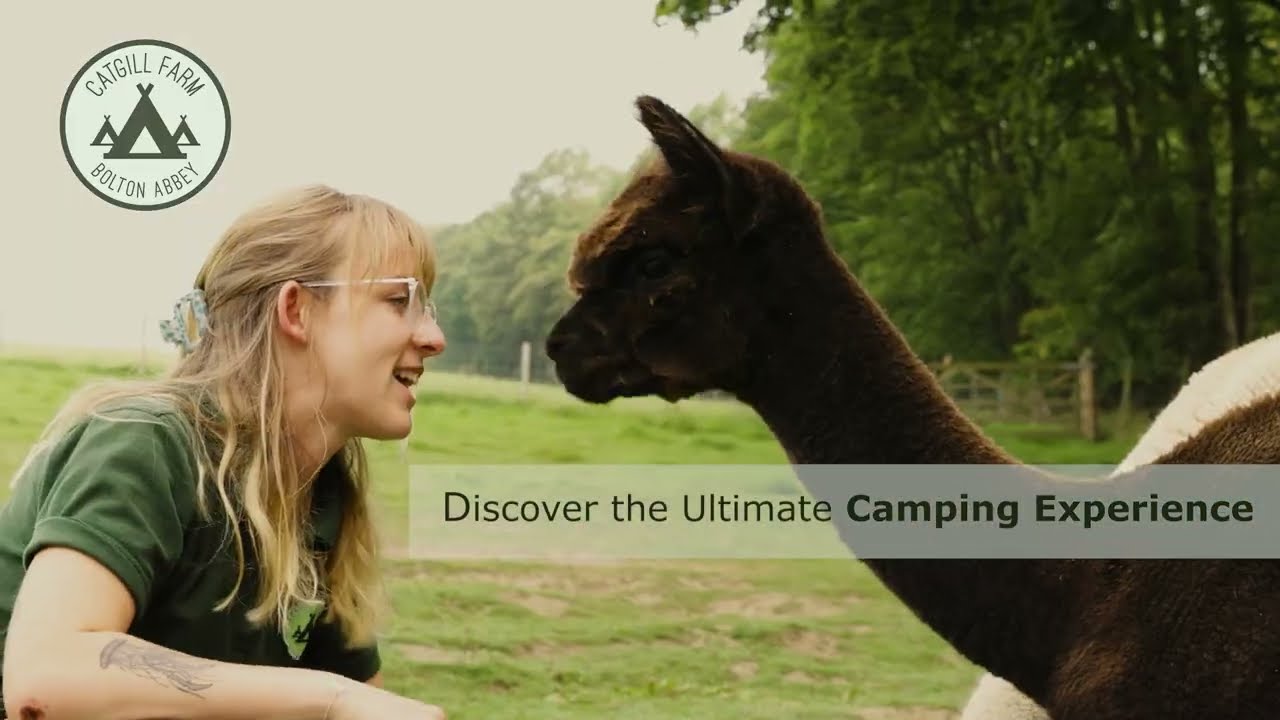 Authentic Camping at Catgill Farm &ndash; Your Outdoor Adventure Awaits!