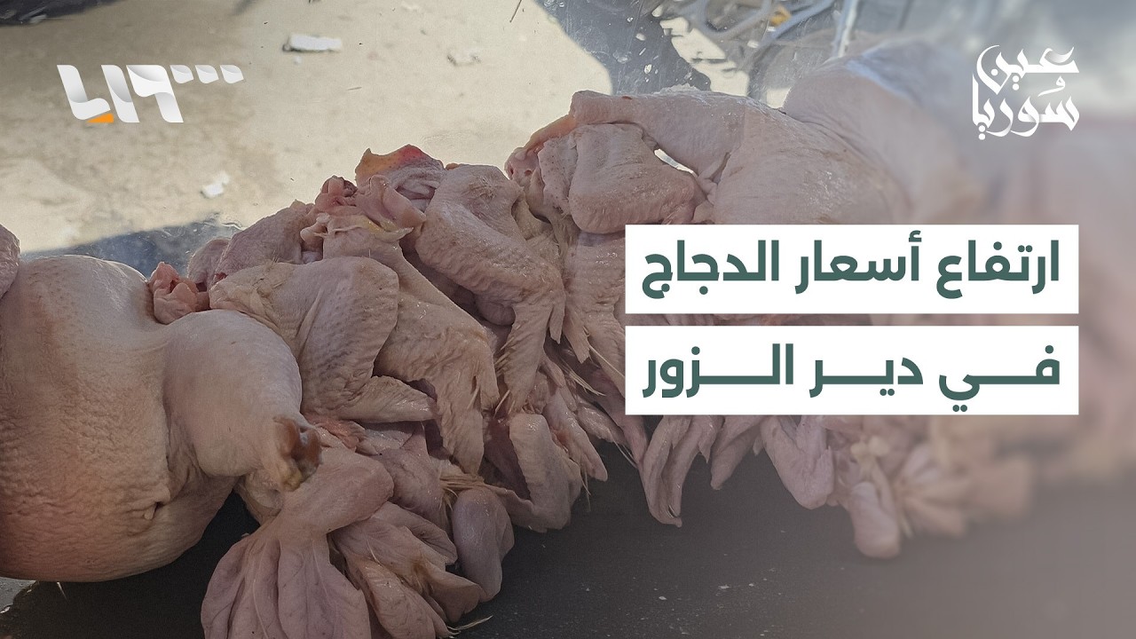 ارتفاع أسعار الدجاج في دير الزور يفتح جدلا بين البائعين والمستهلكين.. ما الأسباب؟