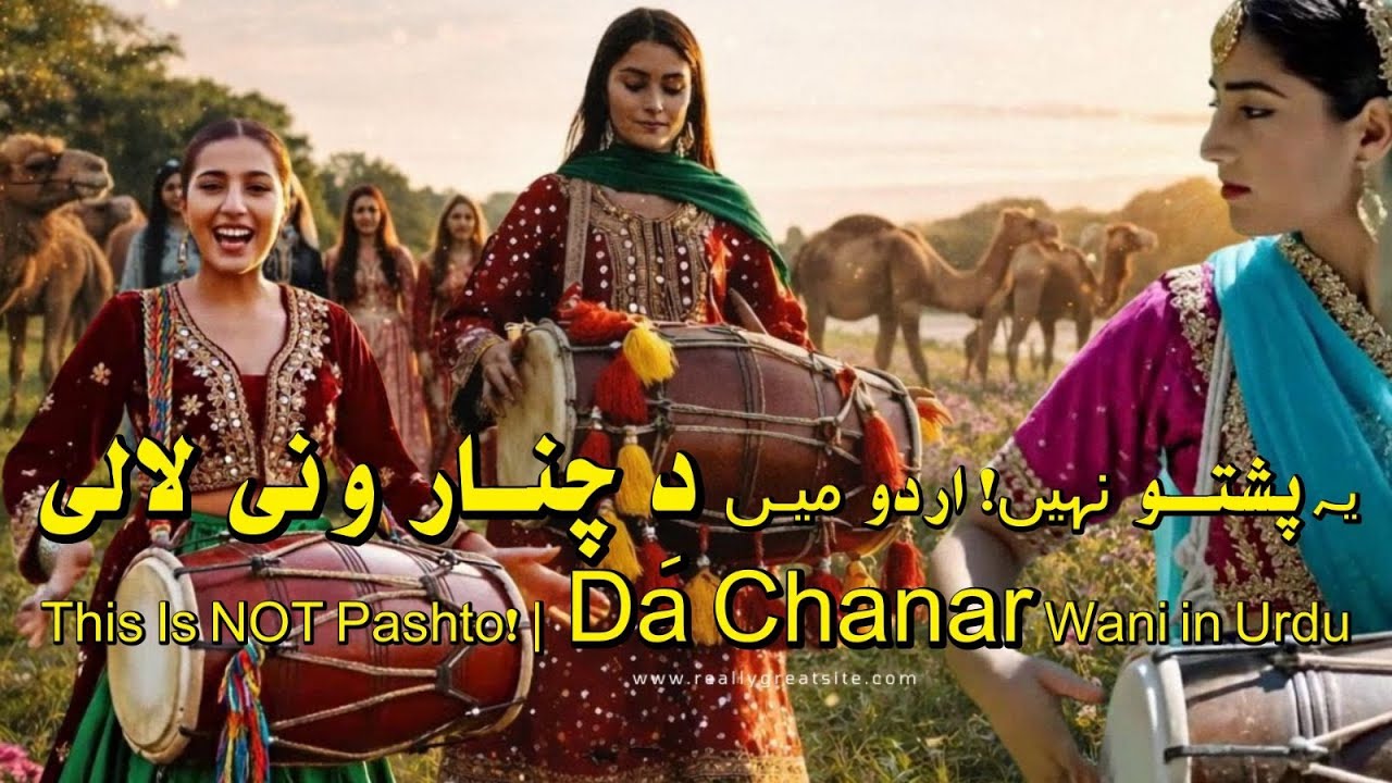Da Chanar Wani | Pashto Song Sung in Urduِ دچنار ونی | پشتو گیت اردو میں گایا گیا