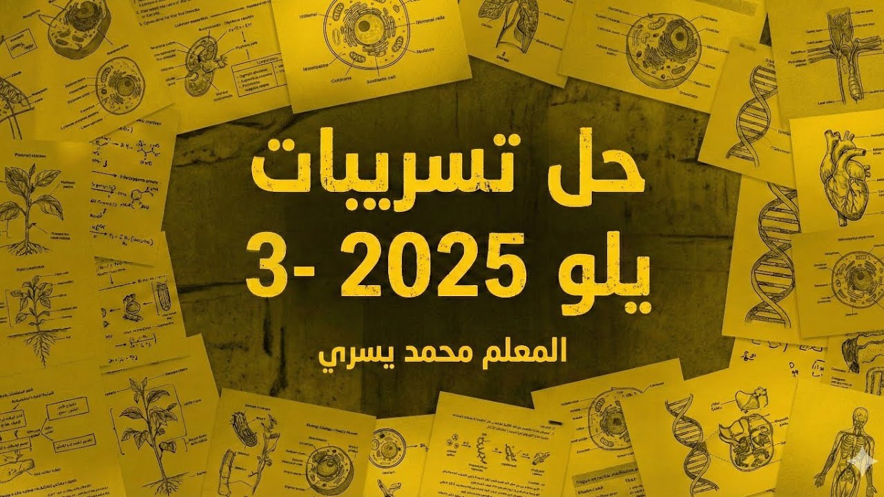 03 - حل تسريبات يلو 2025
