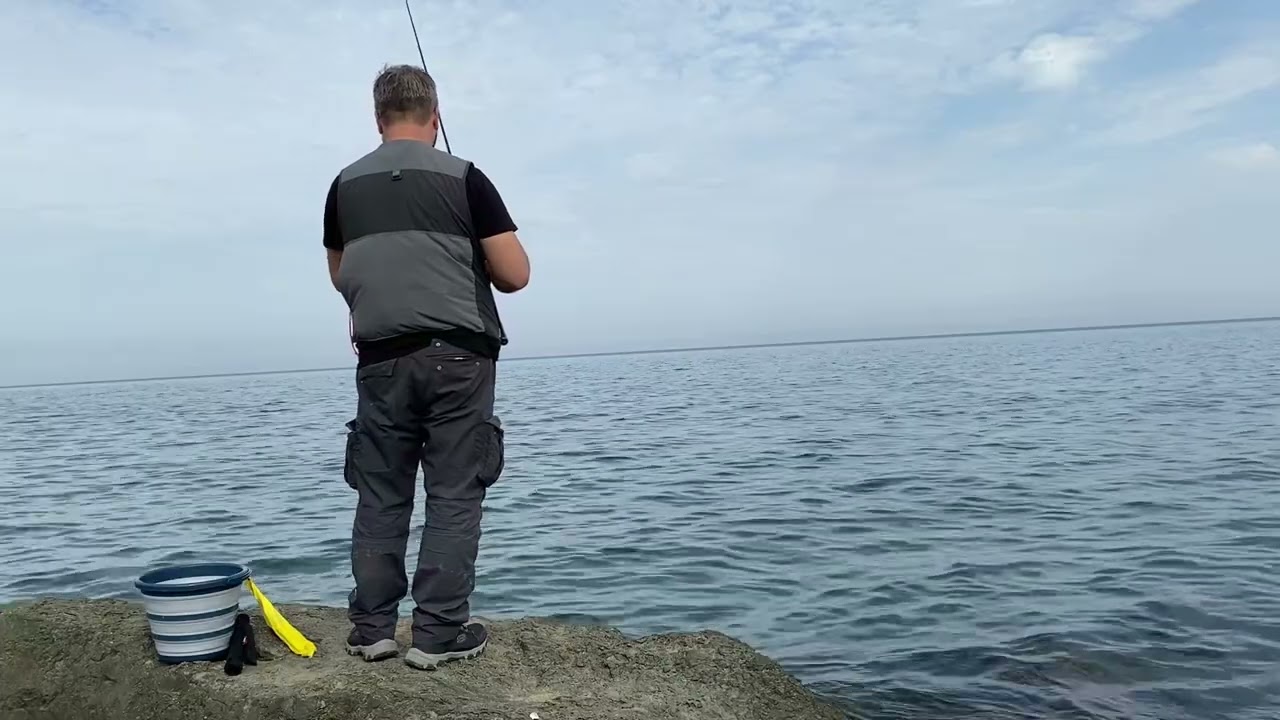 Güzel bir Havada Güzel Bir Sargan Avı  -  2024 Sargan Avı #SarganAvı #fishing