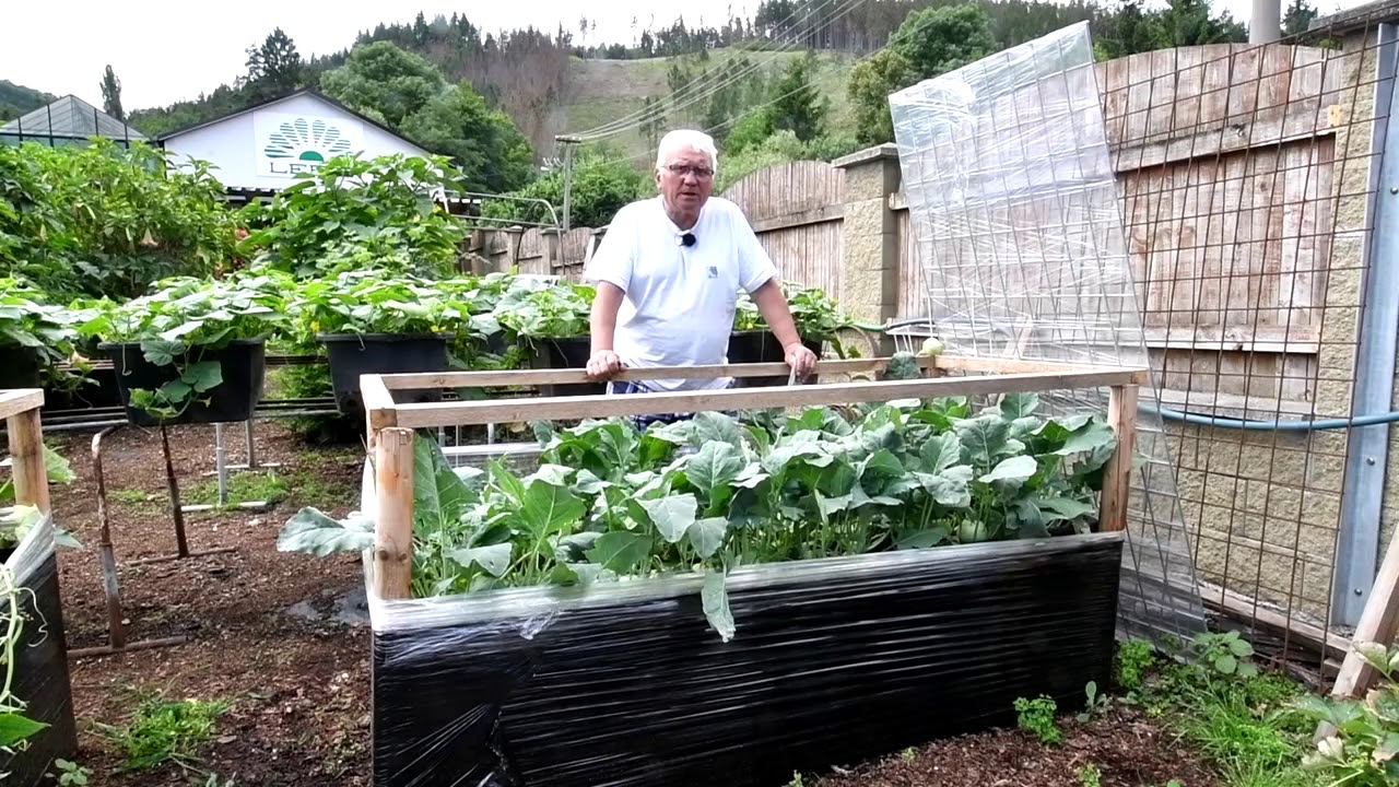 Kedlubny