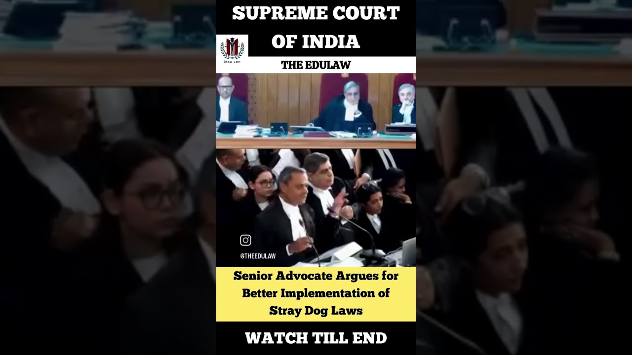 Senior Adv. Arguments for Better implementation of stray Dog Laws