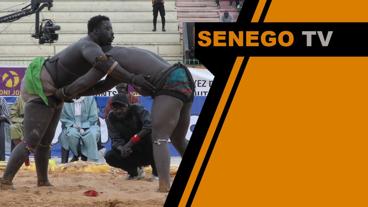 Gris 2  attaque, cogne et…fait disqualifier Pakala