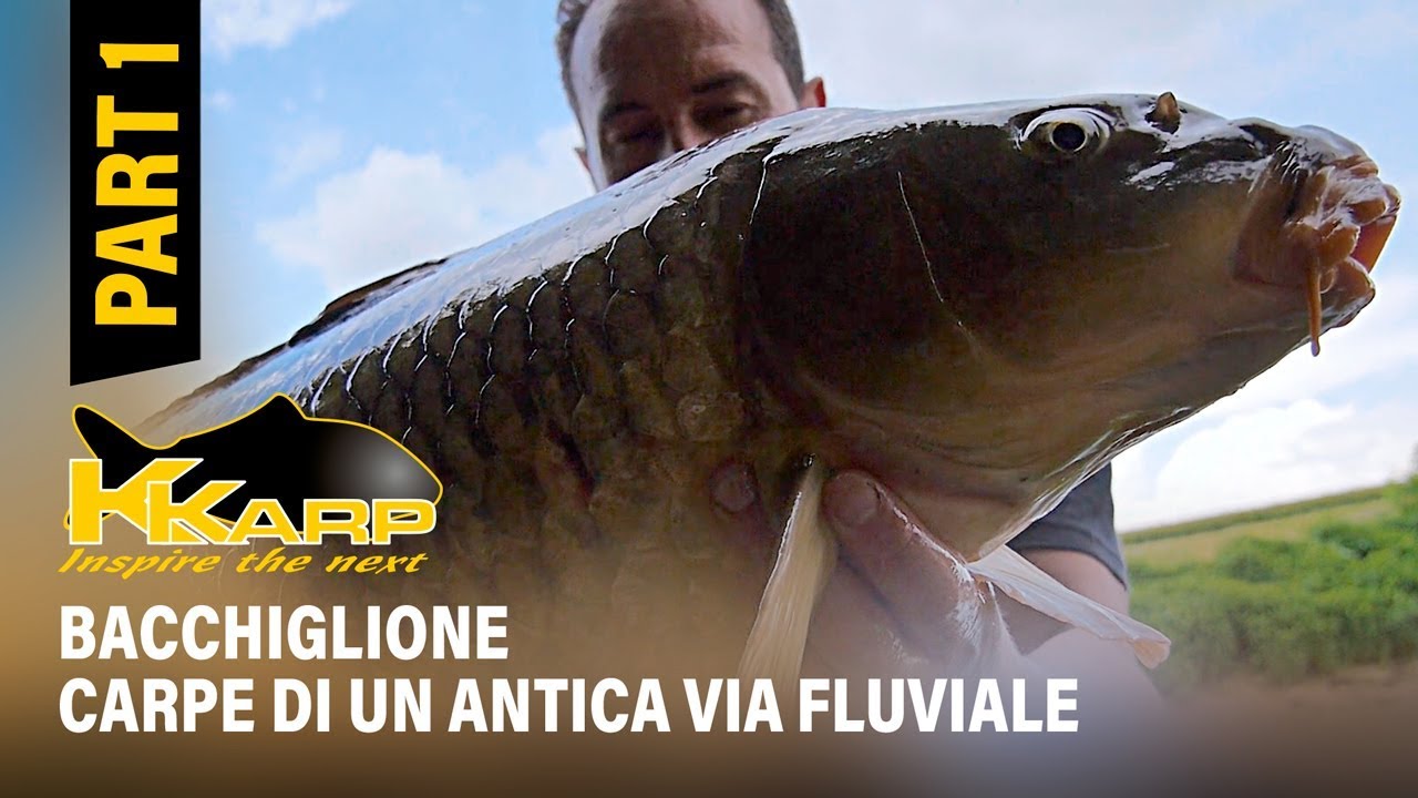 K-Karp - Carp Fishing TV - Bacchiglione. Carpe di un antica via fluviale - Part 1