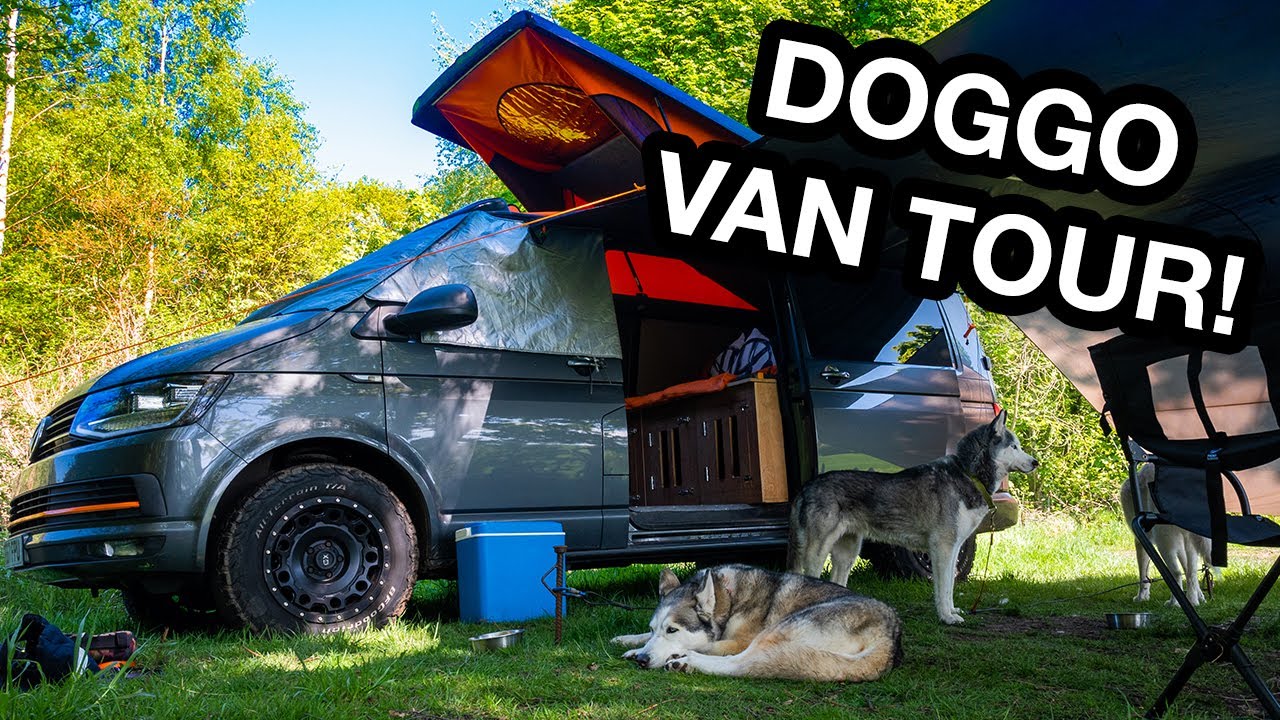 VW Camper Dog Van Tour + UK Wild Camp Setup