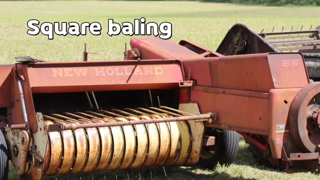 2025 hay season begins