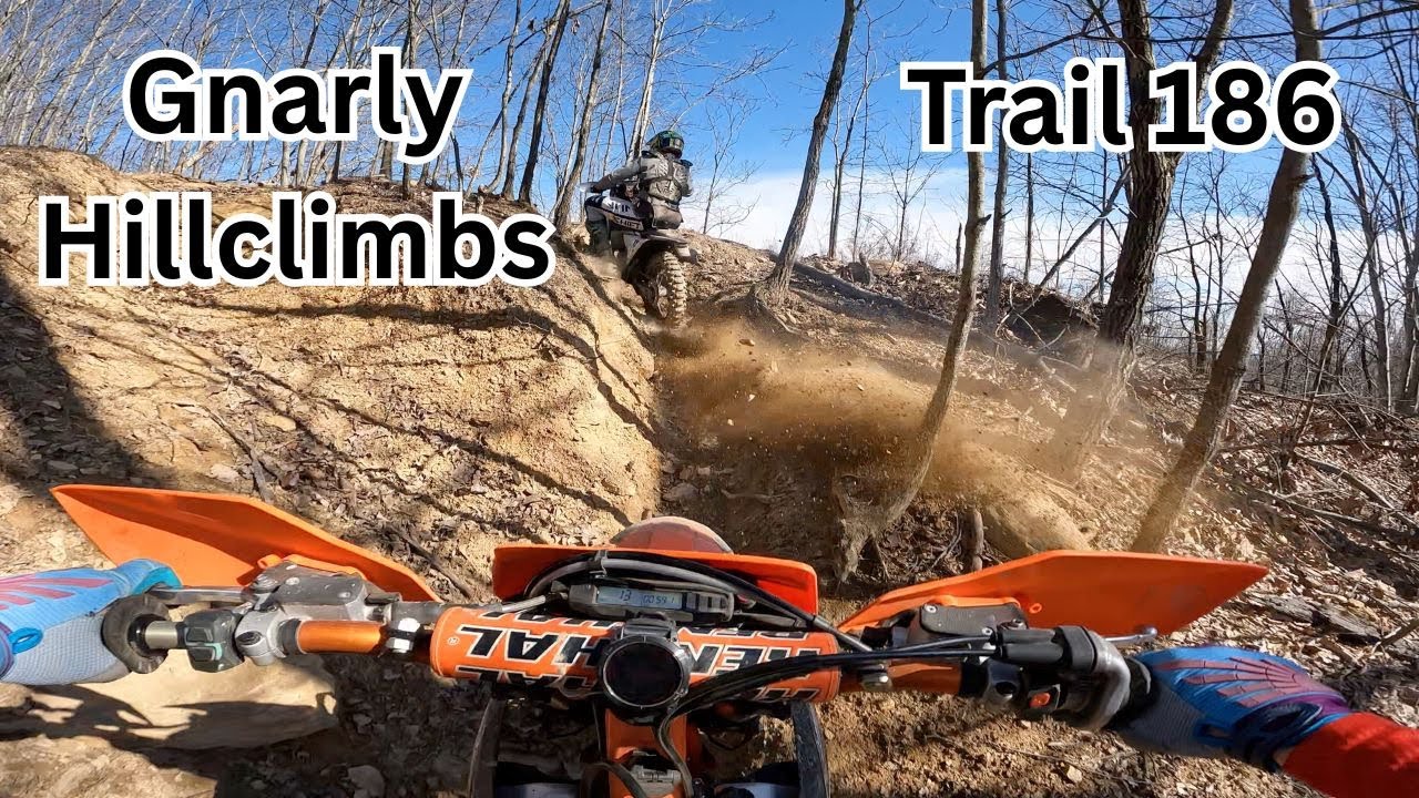 Trail 186 | Buffalo Mountain Hatfield-McCoy | Full Trail