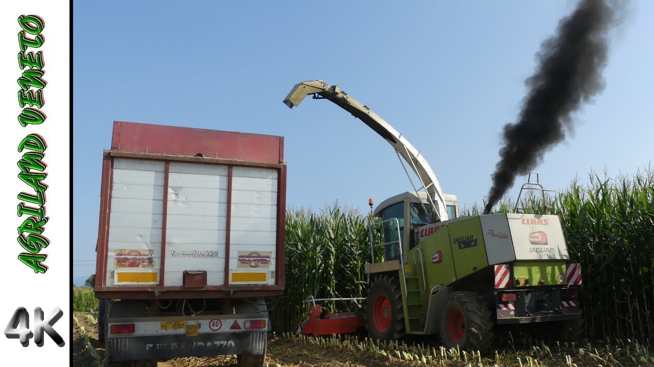 INSILATO 2020|JAGUAR 880 GREEN EYE+KEMPER | JD7530P DF6160 RENAULT|RANDAZZO GRAZIOLI|F.LLI PINTON|4K