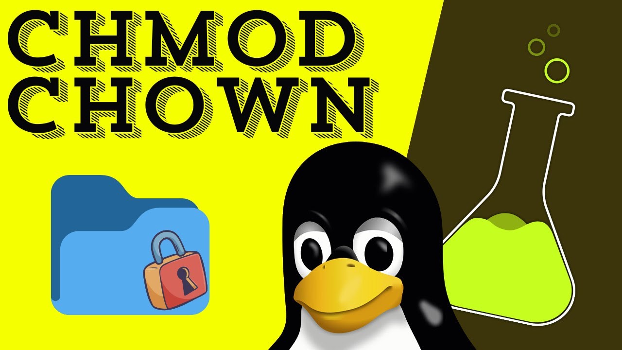 Uprawnienia W Linuxie.