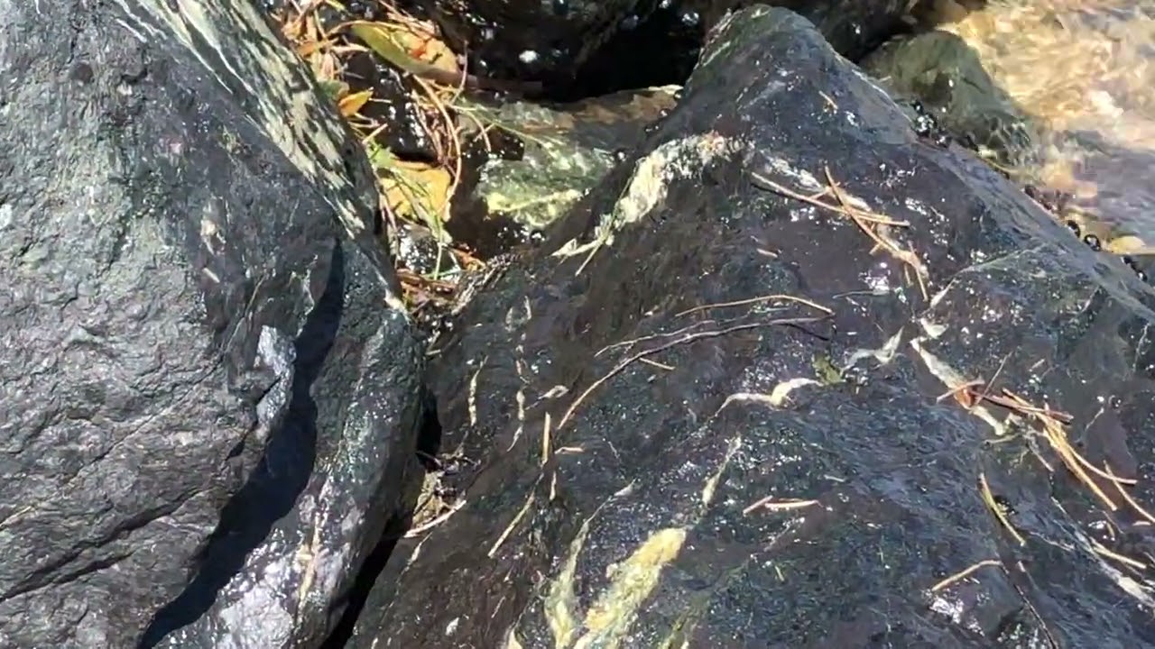 Puerto Rico 