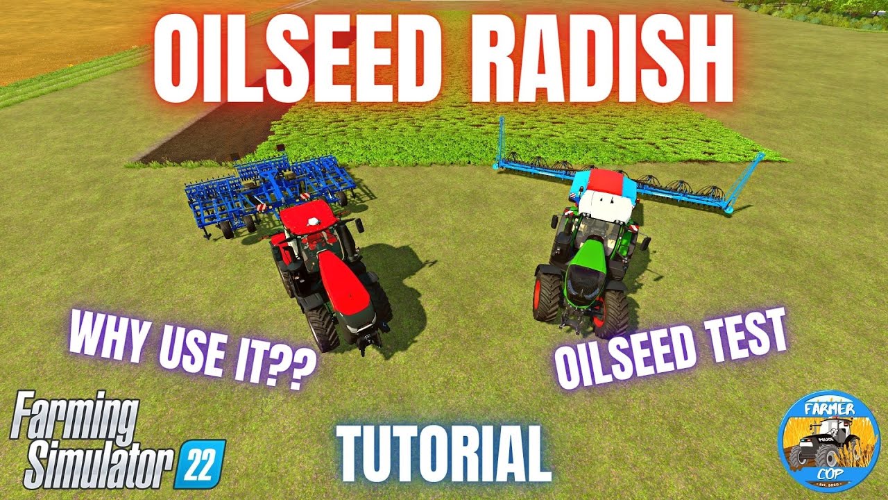 OILSEED RADISH GUIDE & TEST - Farming Simulator 22