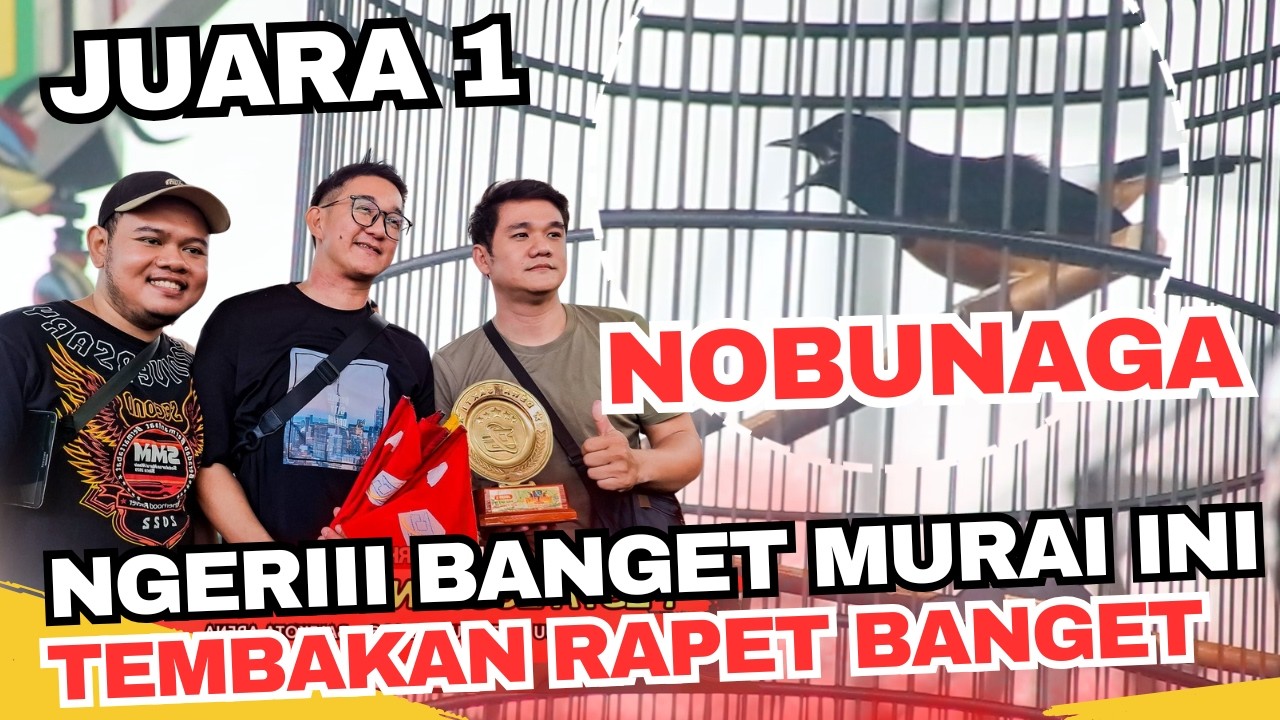 GAK ADA JEDA !! TEMBAKANYA NGERI BANGET INI MURAI || MB NOBUNAGA - Pemilik WAH BF