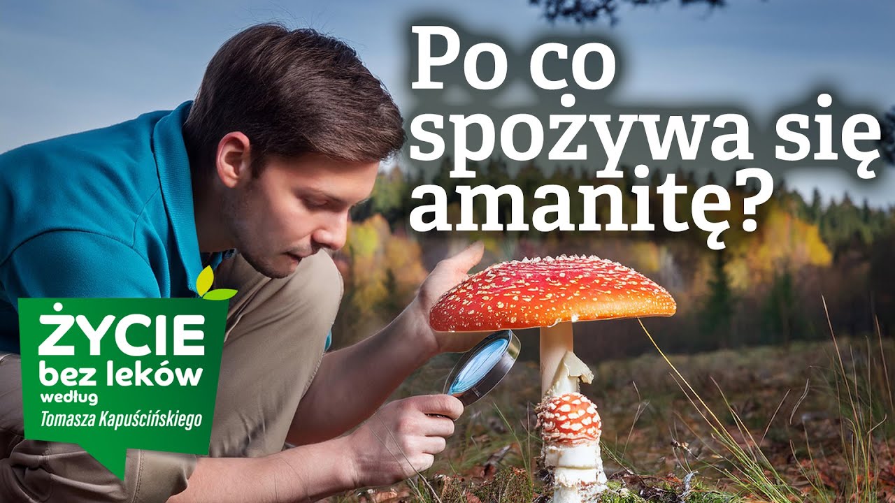 Amanita muscaria - muchomor czerwony - po co go spożywać?