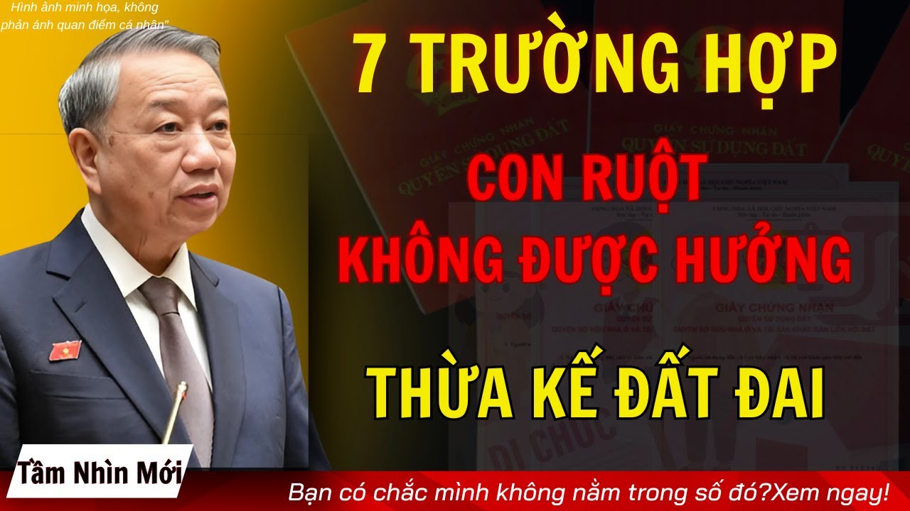 7 Trường Hợp Con Ruột Không Được Hưởng Thừa Kế Đất Đai– Nhiều Người Không Hề Biết! Tầm Nhìn Podcast