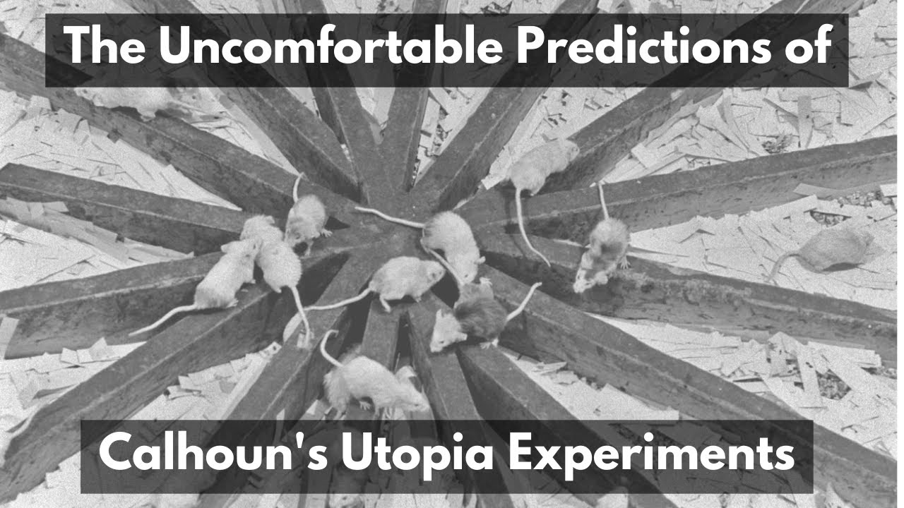 The Uncomfortable Predictions of Calhoun's Utopia Experiments
