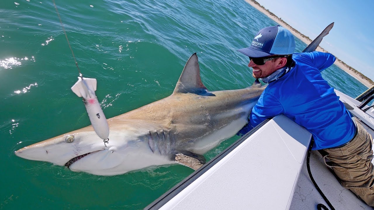 Best Topwater Shark Fishing Ever!!