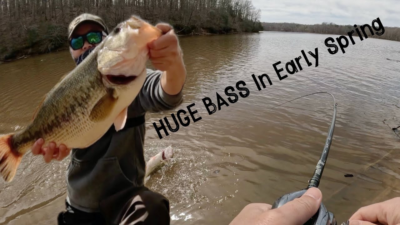 HUGE BASS In Early Spring ｜Early Spring Bass Fishing at Occoquan Reservoir