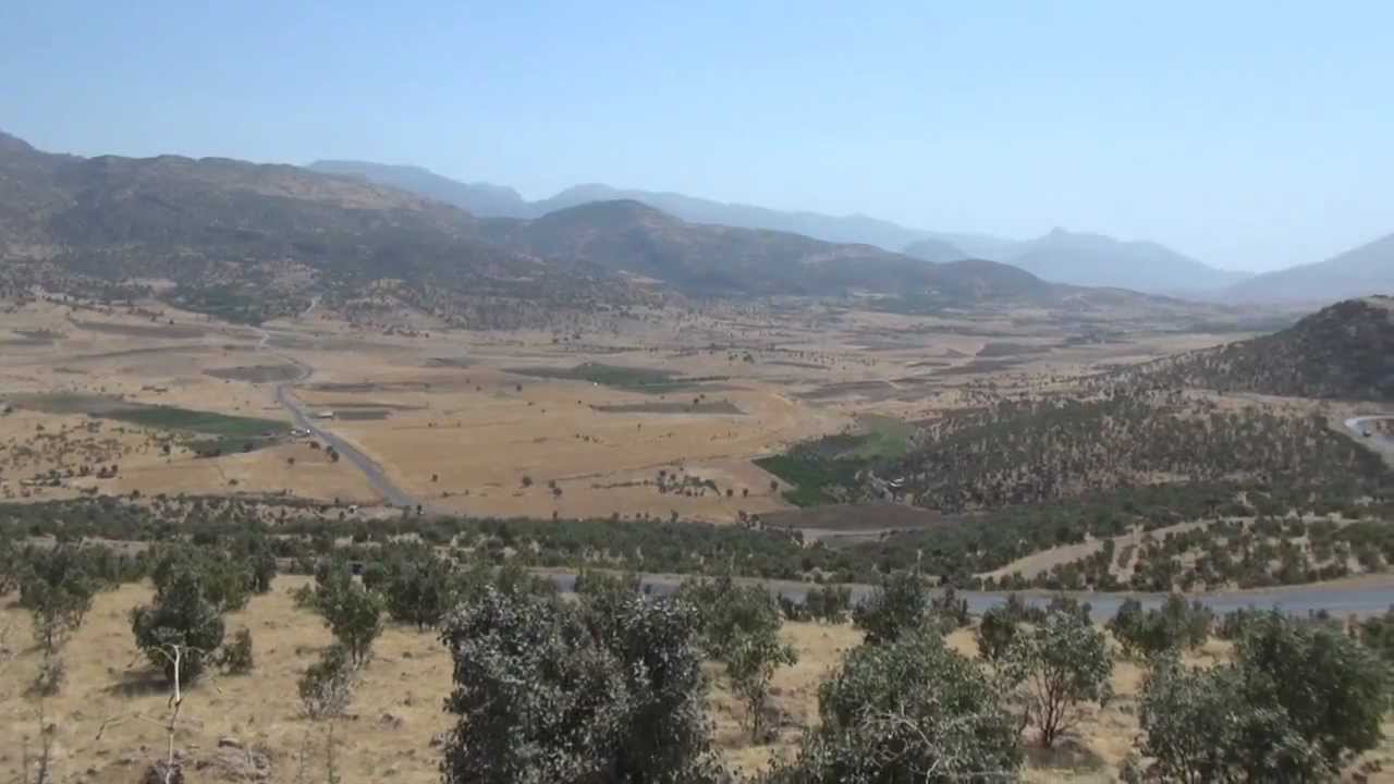 Renewed Hope for Orchard Farmers in Iraq