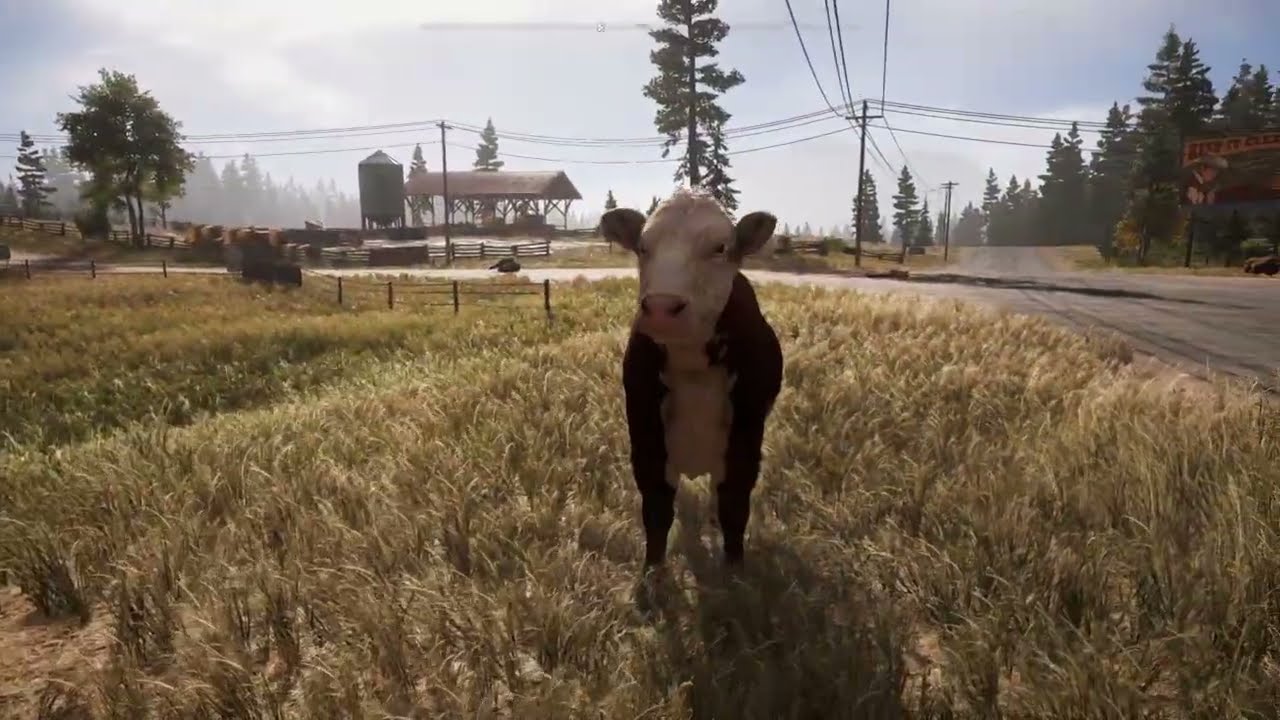 Far Cry® 5