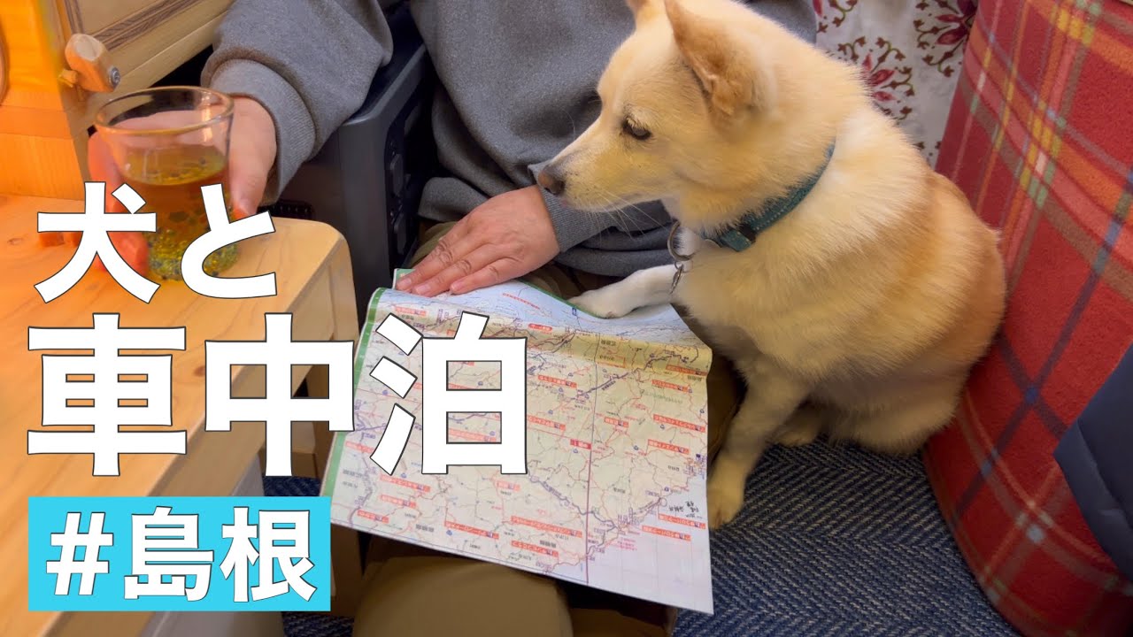 【犬と車中泊】毎日雨降る中、島根の道の駅を車中泊しながら出雲まで行きました