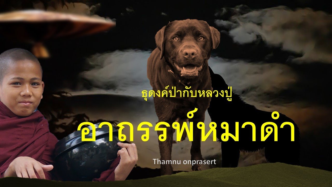 ๑๑.อาถรรพ์หมาดำ ธุดงค์ป่ากับหลวงปู่