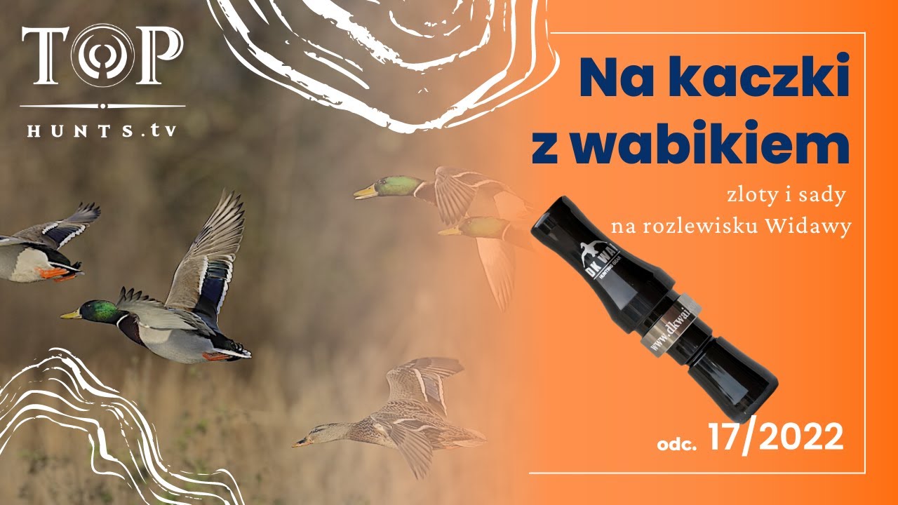 Polowanie na kaczki z wabikiem