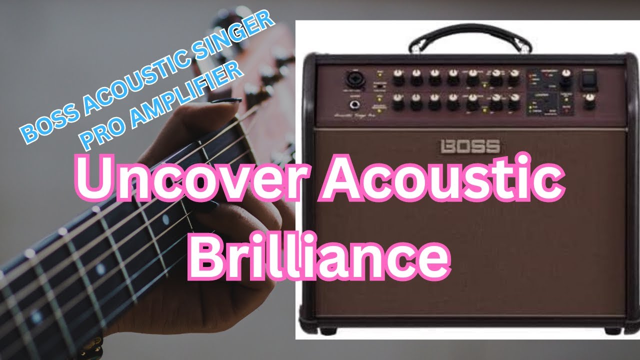Усилитель BOSS ACOUSTIC SINGER PRO