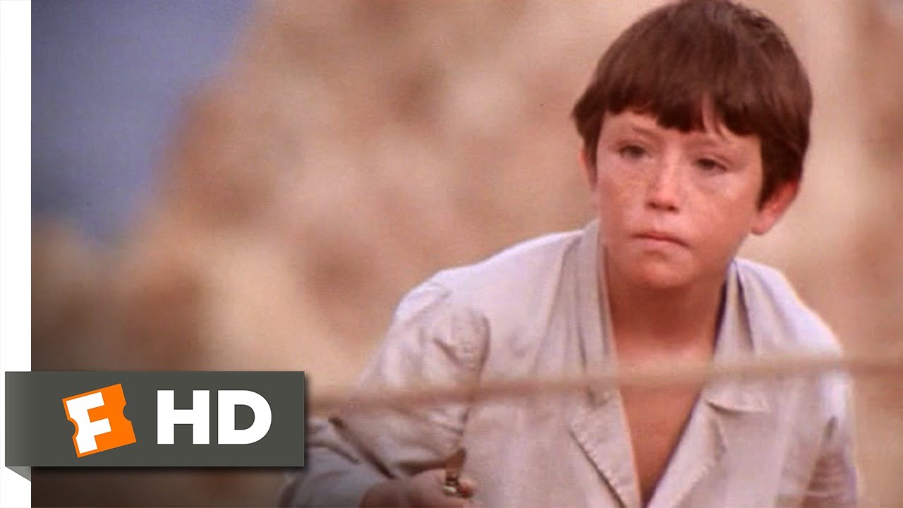 The Black Stallion (5/11) Movie CLIP - Freeing the Horse (1979) HD
