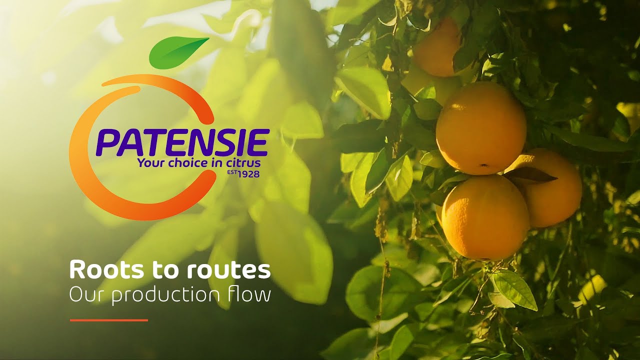 Patensie Production Flow