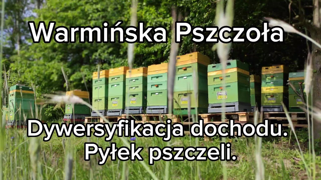 Dywersyfikacja dochodu w pasiece. Pyłek pszczeli.