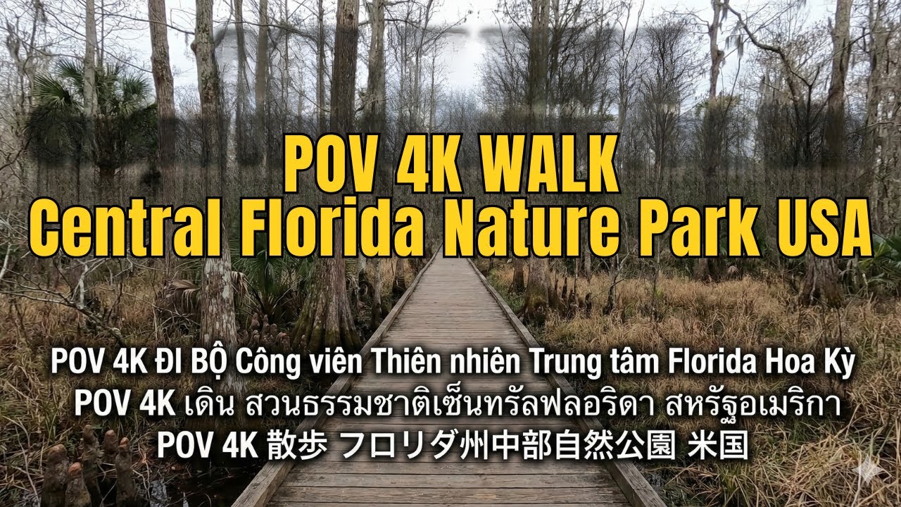 POV 4K WALK Central Florida Nature Park USA
