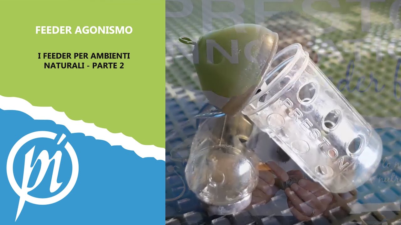 FEEDER PER AMBIENTI NATURALI - PARTE 2
