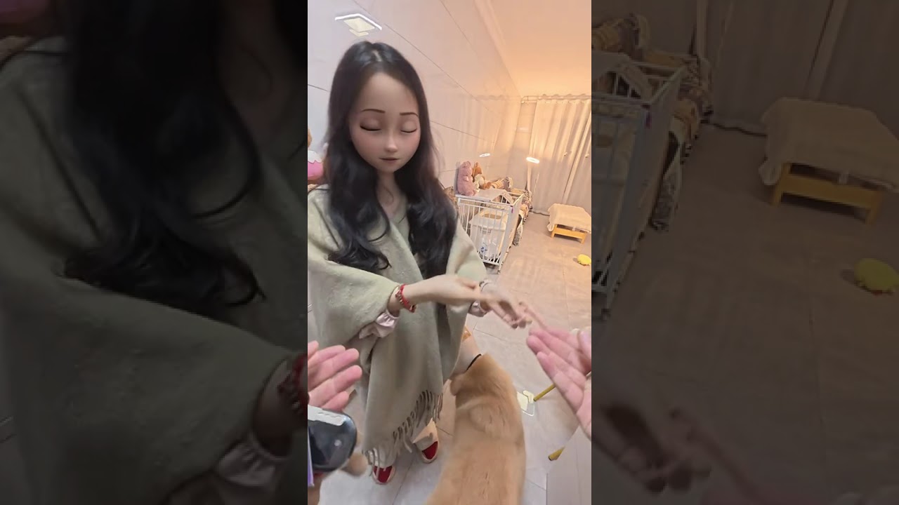 After work I ll walk our timid dog with my girlfriend#Couple s Daily life#Couple vlog#afte