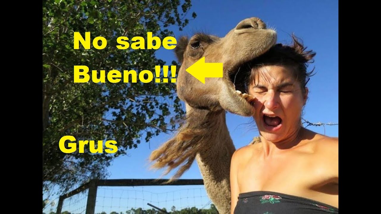 Las 24 Peores Selfies de la Historia - Grus