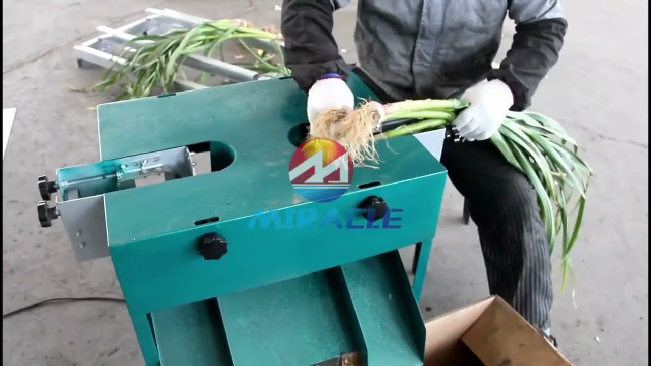 Fresh Garlic Stem And Root Cutting Machine for Sale! #garlic #freash garlic cutter #cuttermachine