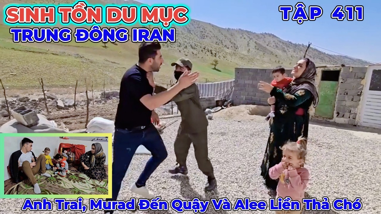 Phần 411: Cảnh Sát Đến Cảnh Cáo karim - Anh Trai, Murad Đến Nhà Alee Gây Rối - Cuộc Sống Du Mục Iran