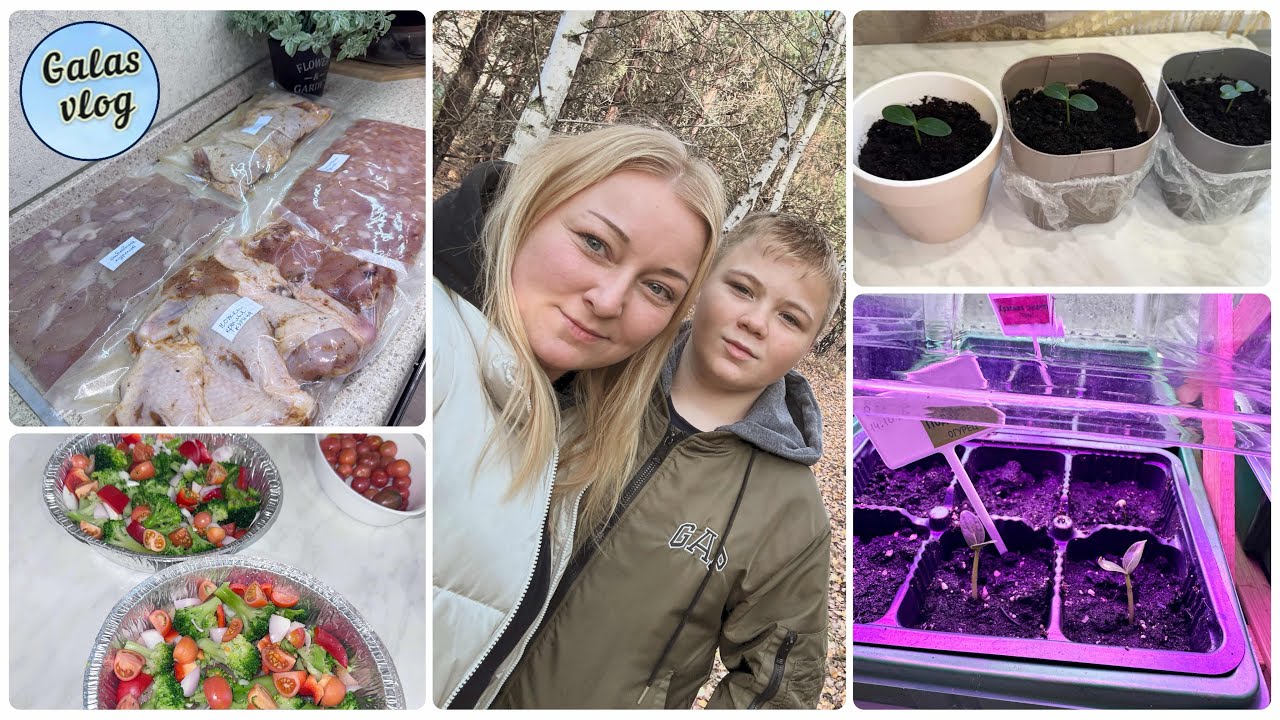 VLOG 💚 ОТКРЫВАЕМ БИЗНЕС 🙃 ПОСАДИЛА ОГОРОД /ДЕЛАЮ ЗАГОТОВКИ НА НЕДЕЛЮ