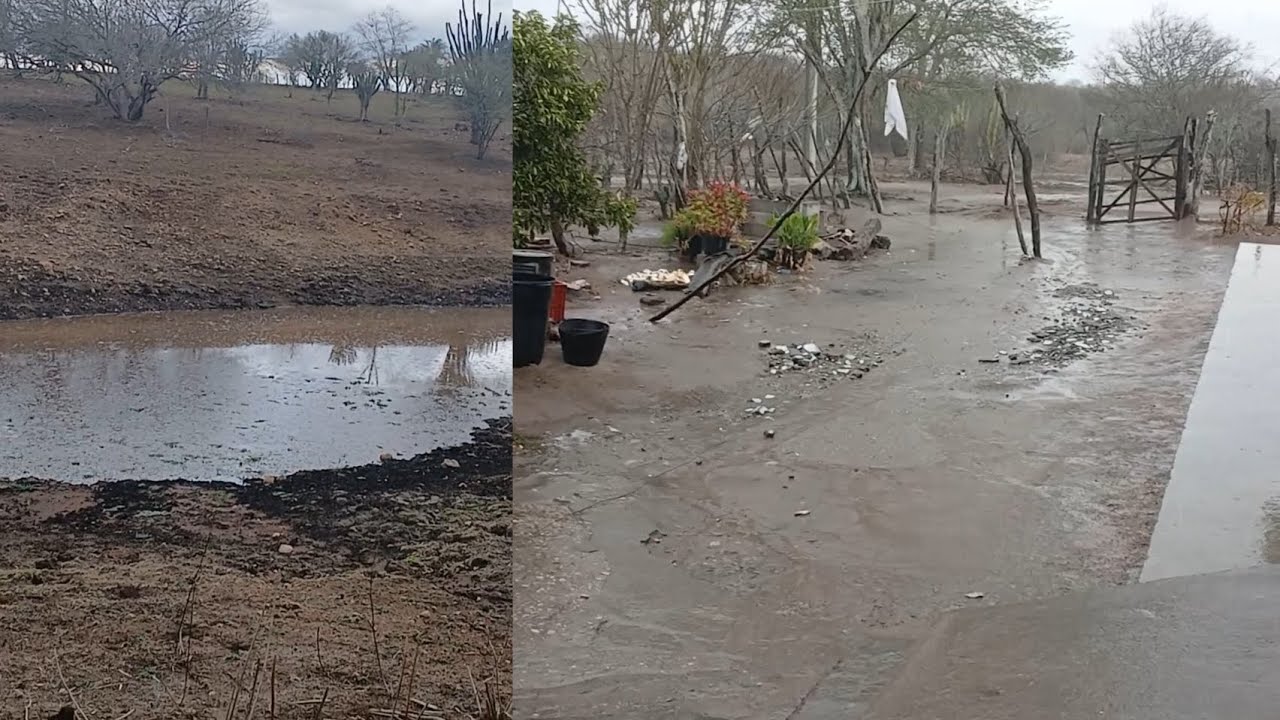 A CHUVA CHEGOU AQUI NO NORDESTE 