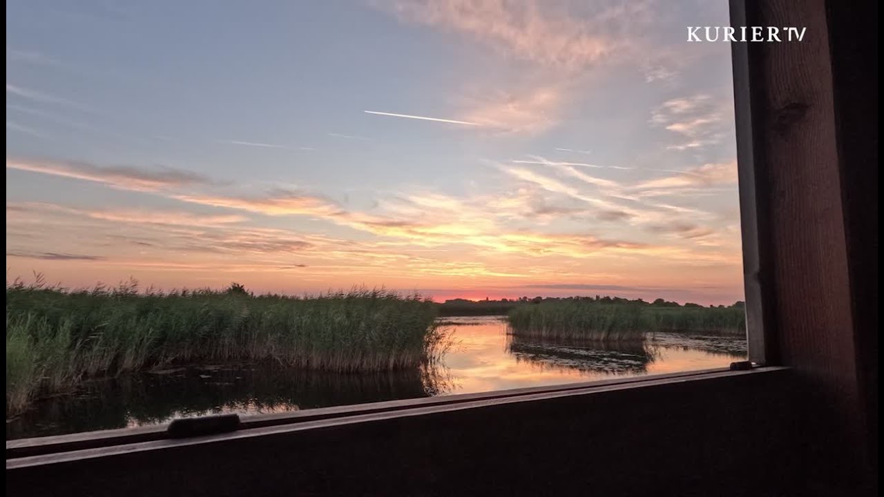 Der Klang des Herbstes: G&auml;nse, Wind und Weite im Seewinkel