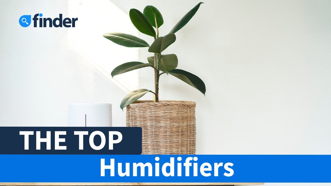 Best Humidifiers