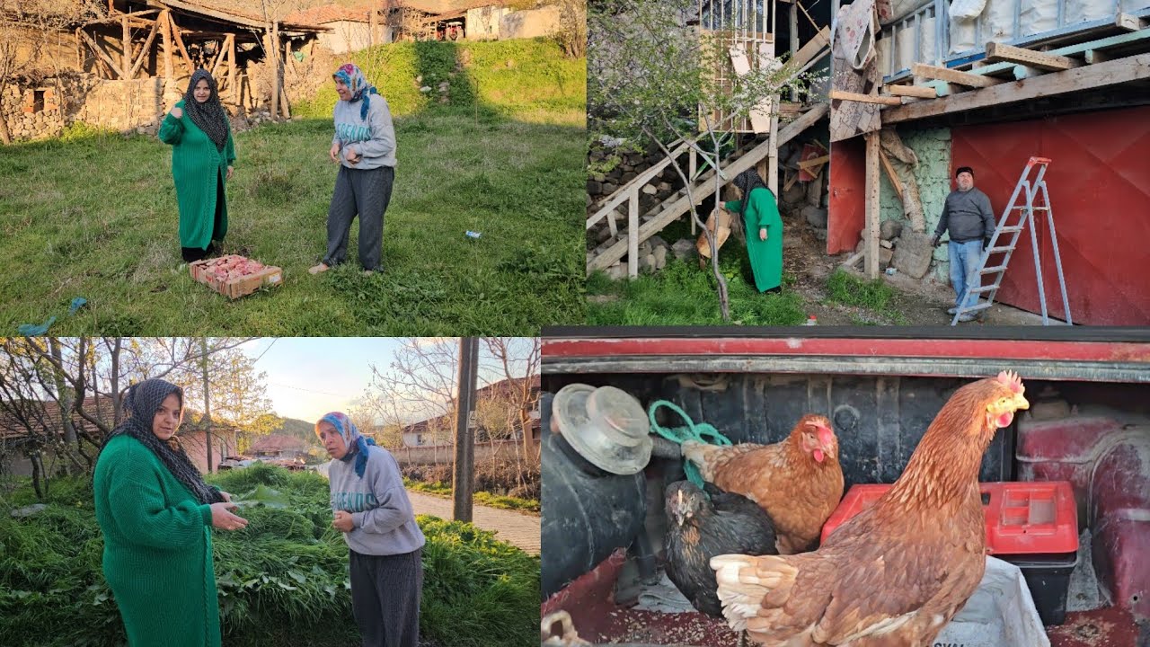 K&ouml;ye Gittik! Hayvanları Sevindirdik 🐶 + Mini K&ouml;y Turu 🌿