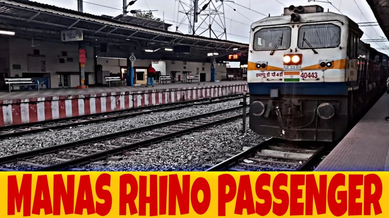 Manas Rhino Passenger | Barpeta Road to Guwahati | rs now a days
