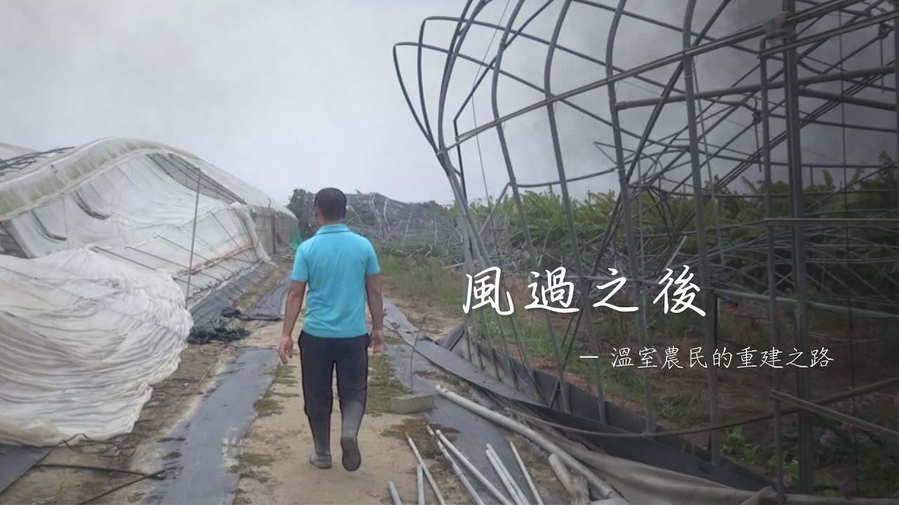 風過之後－溫室農民的重建之路