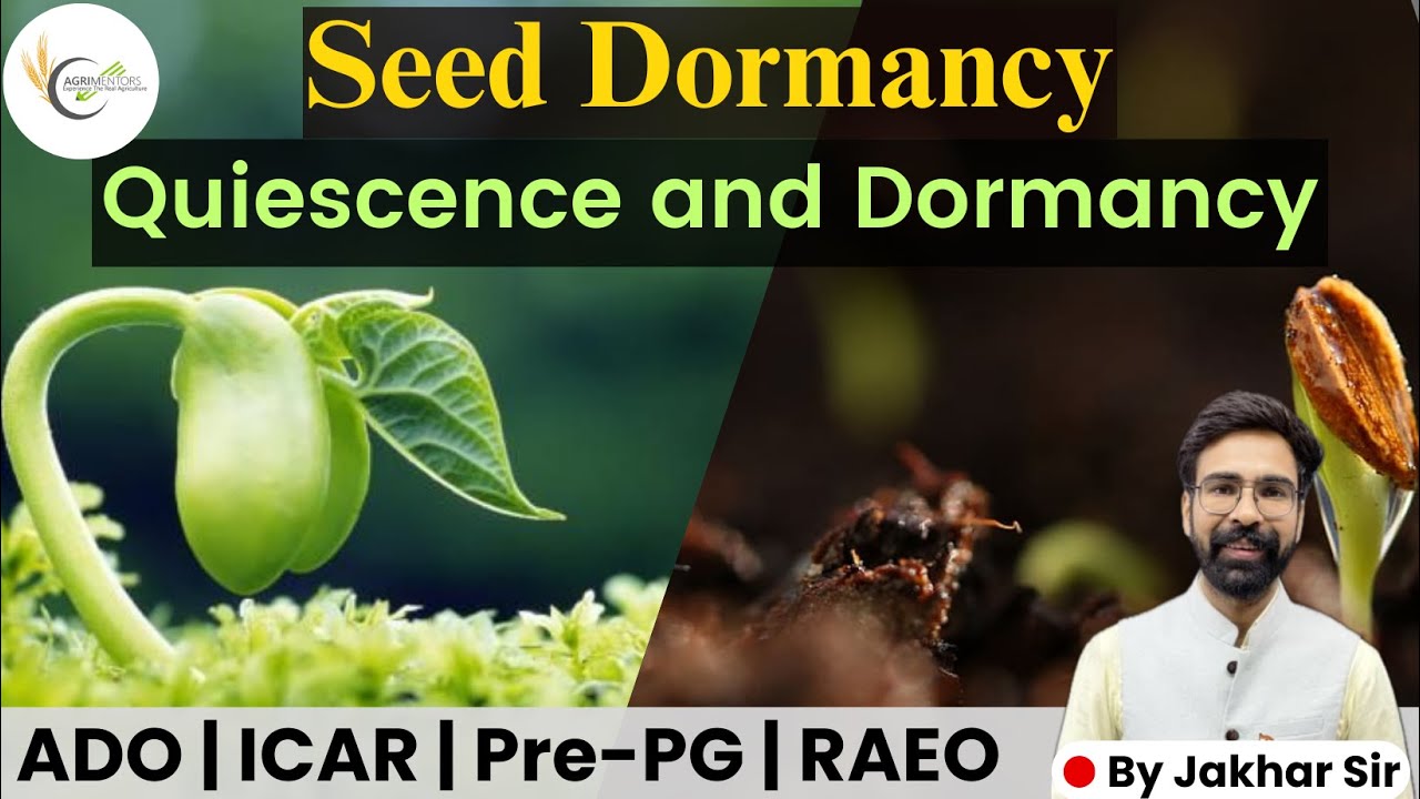 Seed Dormancy | Quiescence and Dormancy Difference | Type of Dormancy | #Seed #SeedDormancy