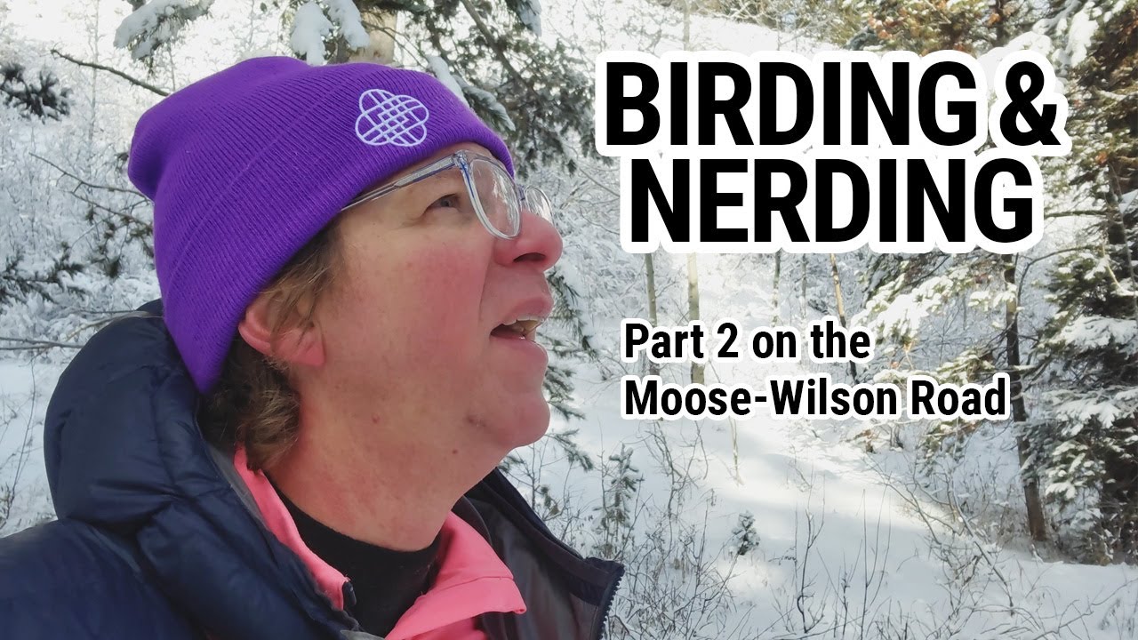 Birding and Nerding - Moose-Wilson Road Winter Birding Part 2